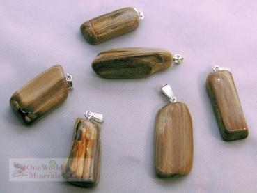 Versteinertes Holz mit Silberöse